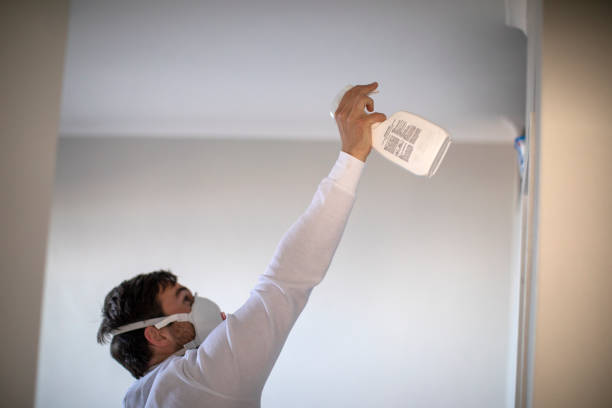 Best Commercial Mold Removal  in Geneva, WA