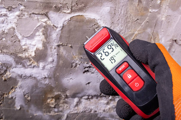 Best Mold Inspection  in Geneva, WA