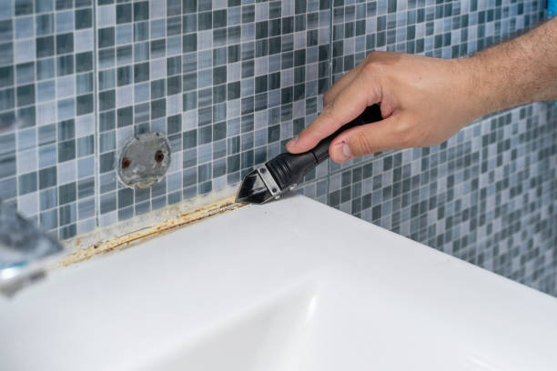 Best Local Mold Removal Service  in Geneva, WA