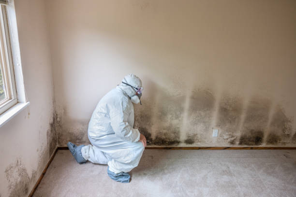 Best Home Mold Removal  in Geneva, WA